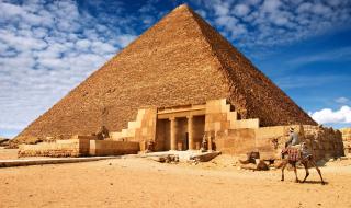 行走的骆驼 行走的骆驼